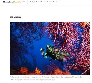 st lucia diver explores sea fans