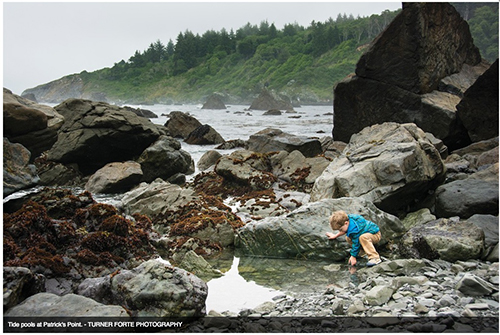 Humboldt insiders visitors guide photo of Jordan in tidal pools.